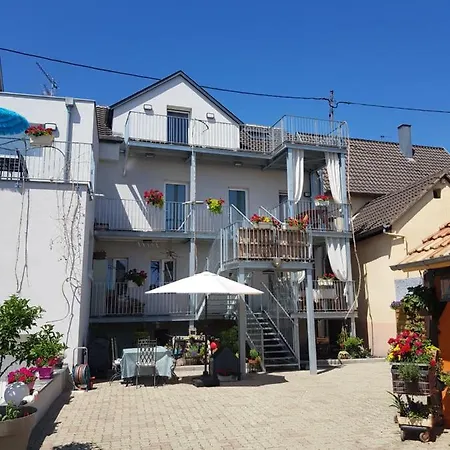 Appartement Au Gre De L'ill 'l'ill' *